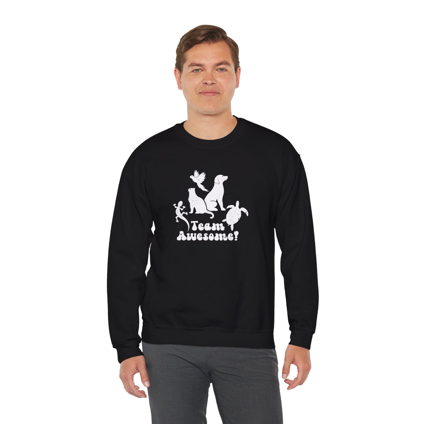 Unisex Animal Lover Lizard Cat Bird Dog Turtle Team Awesome Sweatshirt