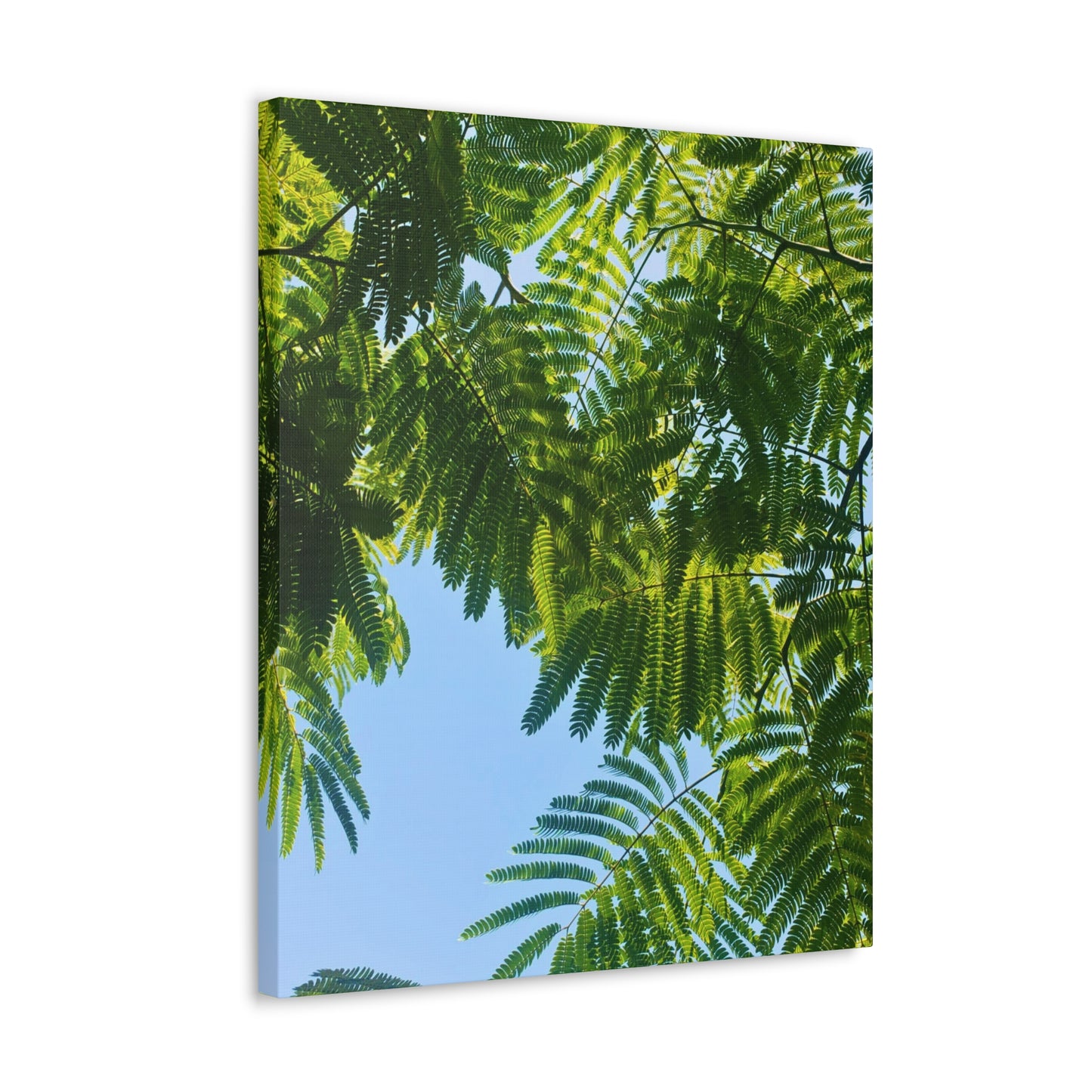 Canvas Gallery Wrap - Silk Canopy #4