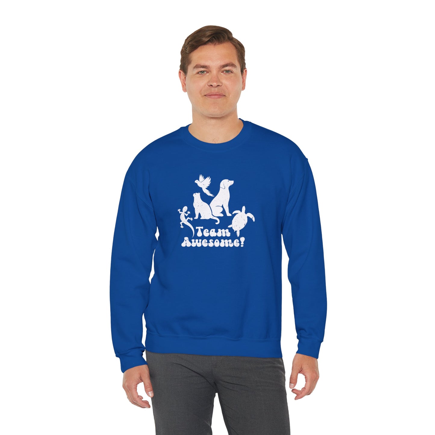 Unisex Animal Lover Lizard Cat Bird Dog Turtle Team Awesome Sweatshirt
