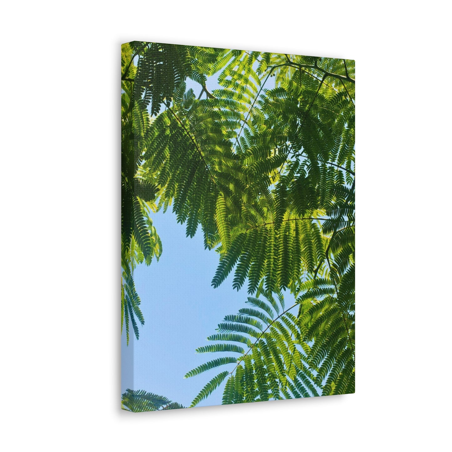 Canvas Gallery Wrap - Silk Canopy #4