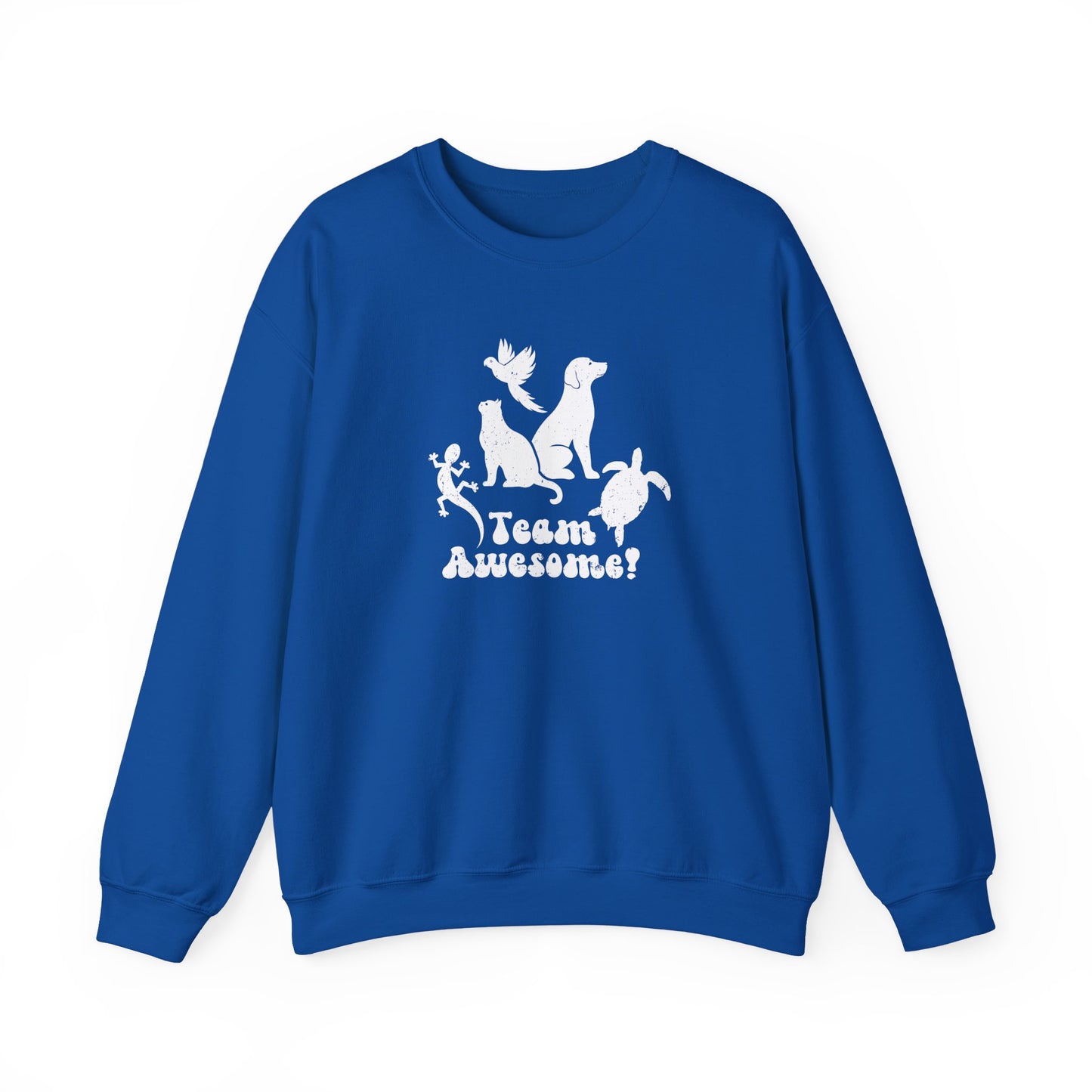 Unisex Animal Lover Lizard Cat Bird Dog Turtle Team Awesome Sweatshirt