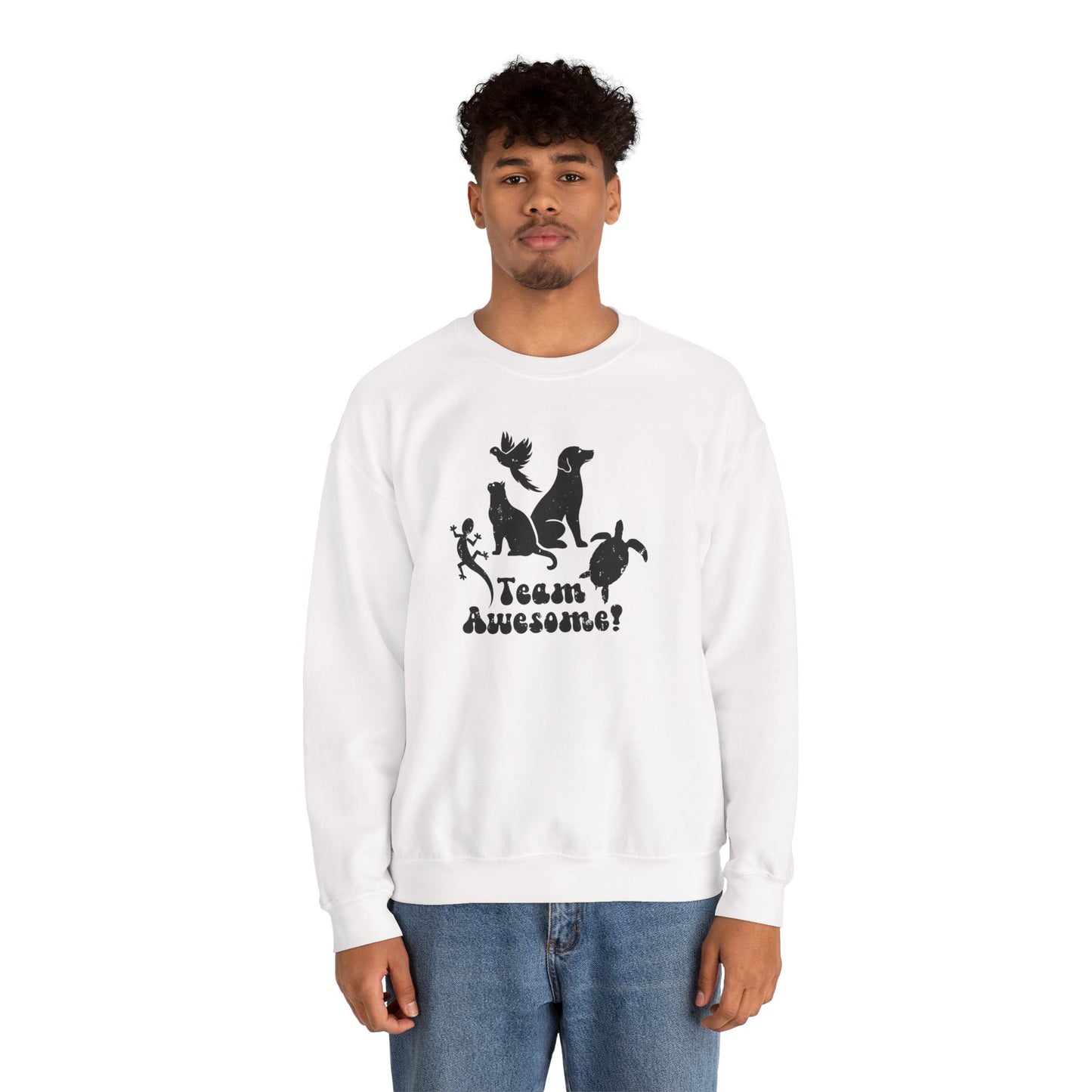 Unisex Animal Lover Lizard Cat Bird Dog Turtle Team Awesome Sweatshirt