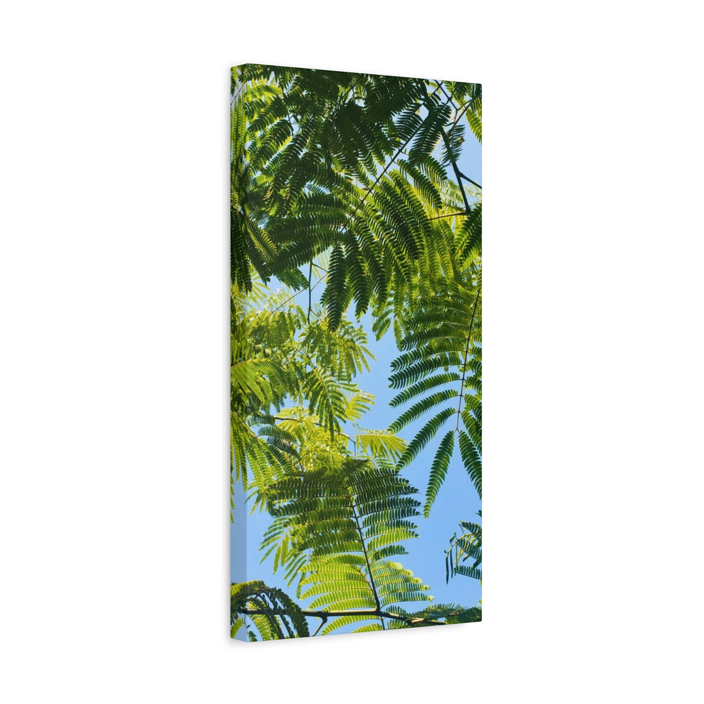 Canvas Gallery Wrap - Silk Canopy #3