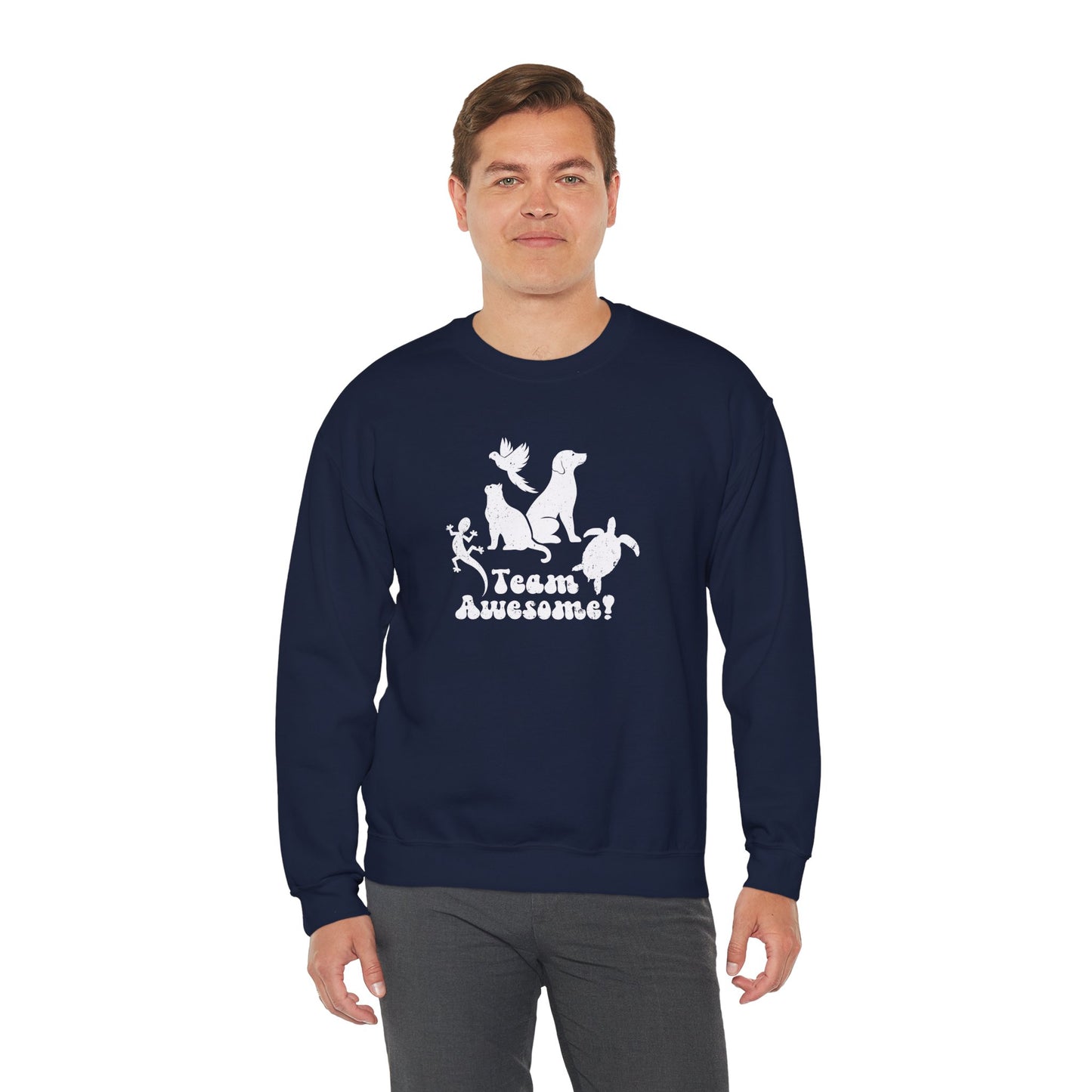 Unisex Animal Lover Lizard Cat Bird Dog Turtle Team Awesome Sweatshirt