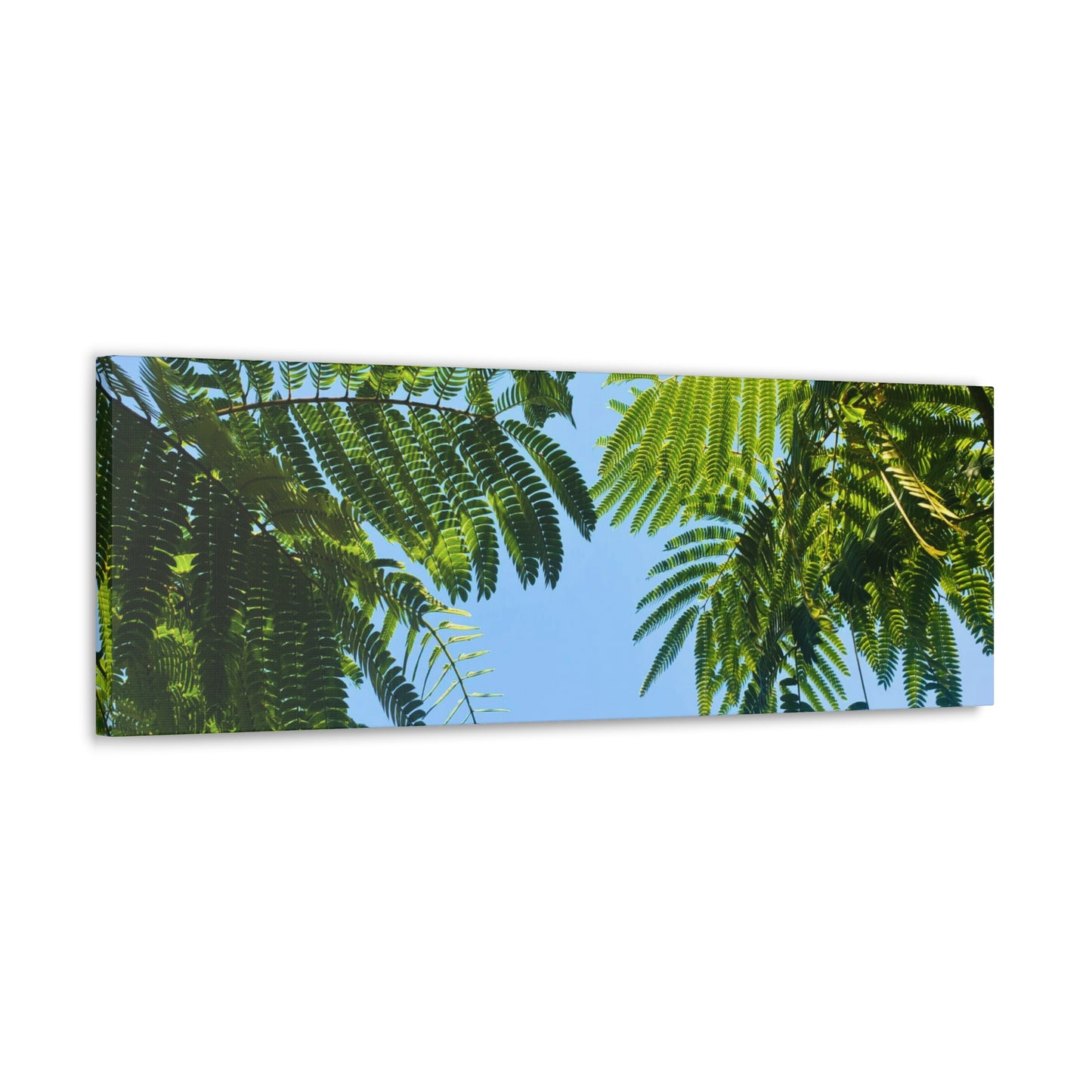 Canvas Gallery Wrap - Silk Canopy #2