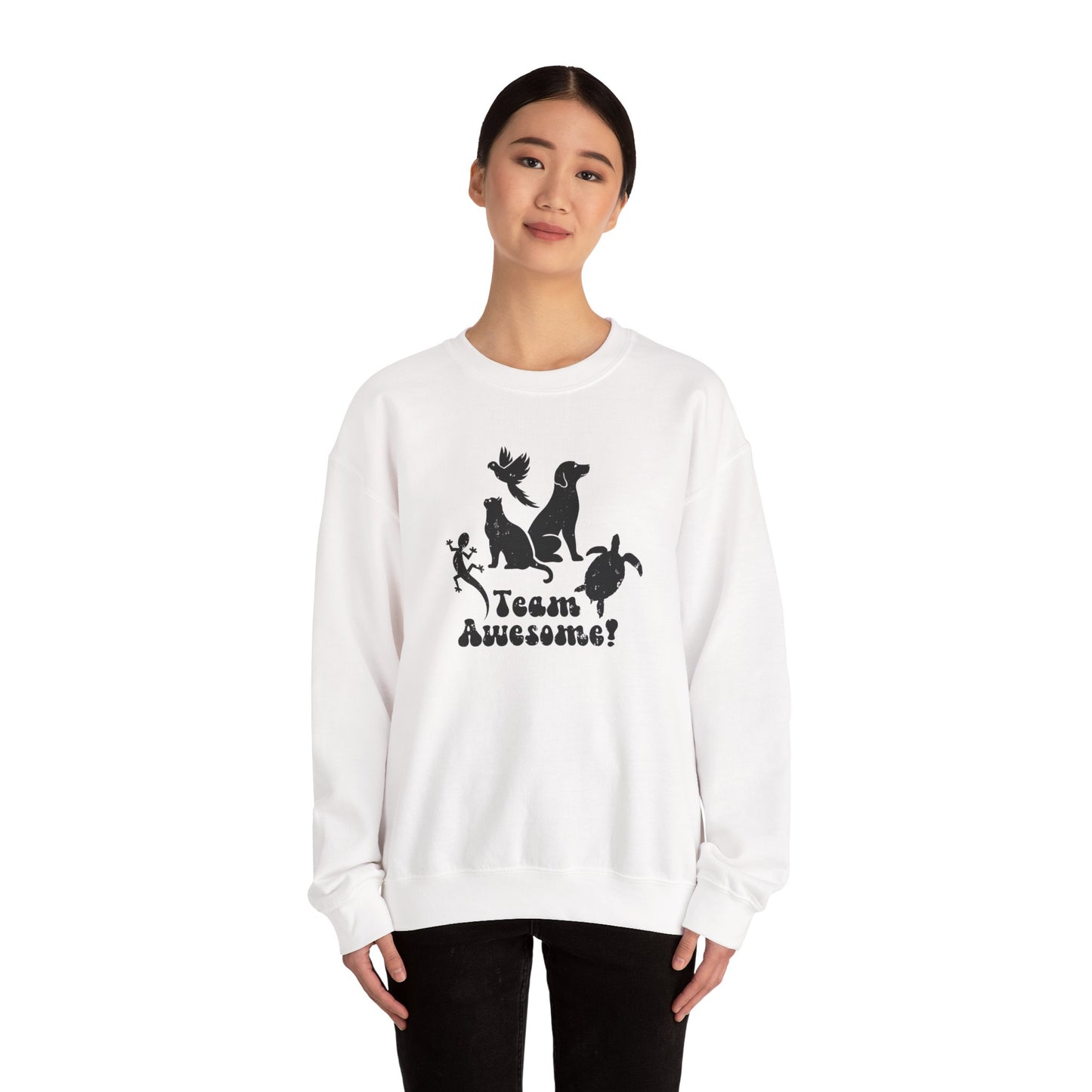Unisex Animal Lover Lizard Cat Bird Dog Turtle Team Awesome Sweatshirt