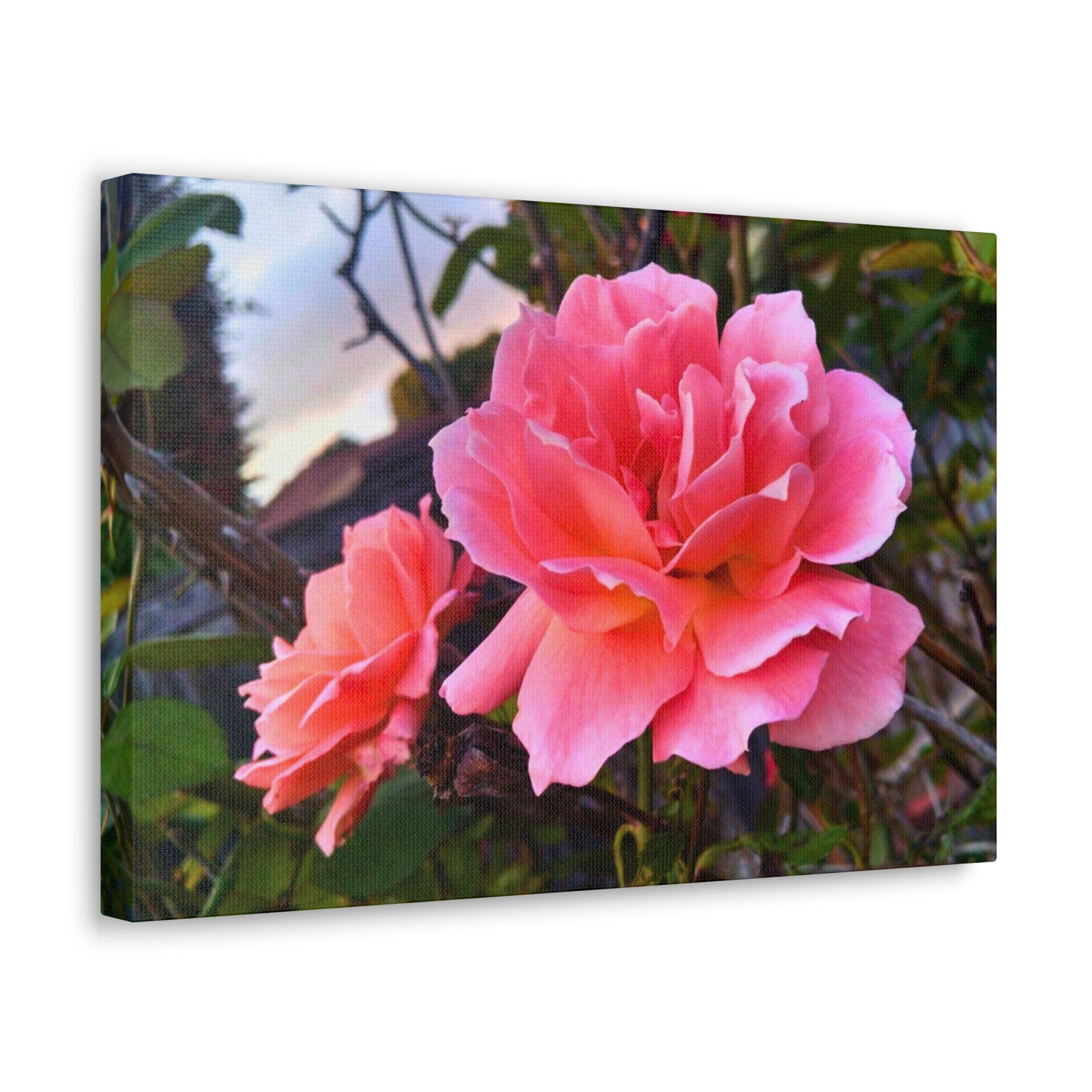 Canvas Gallery Wrap - Double Delight Rose