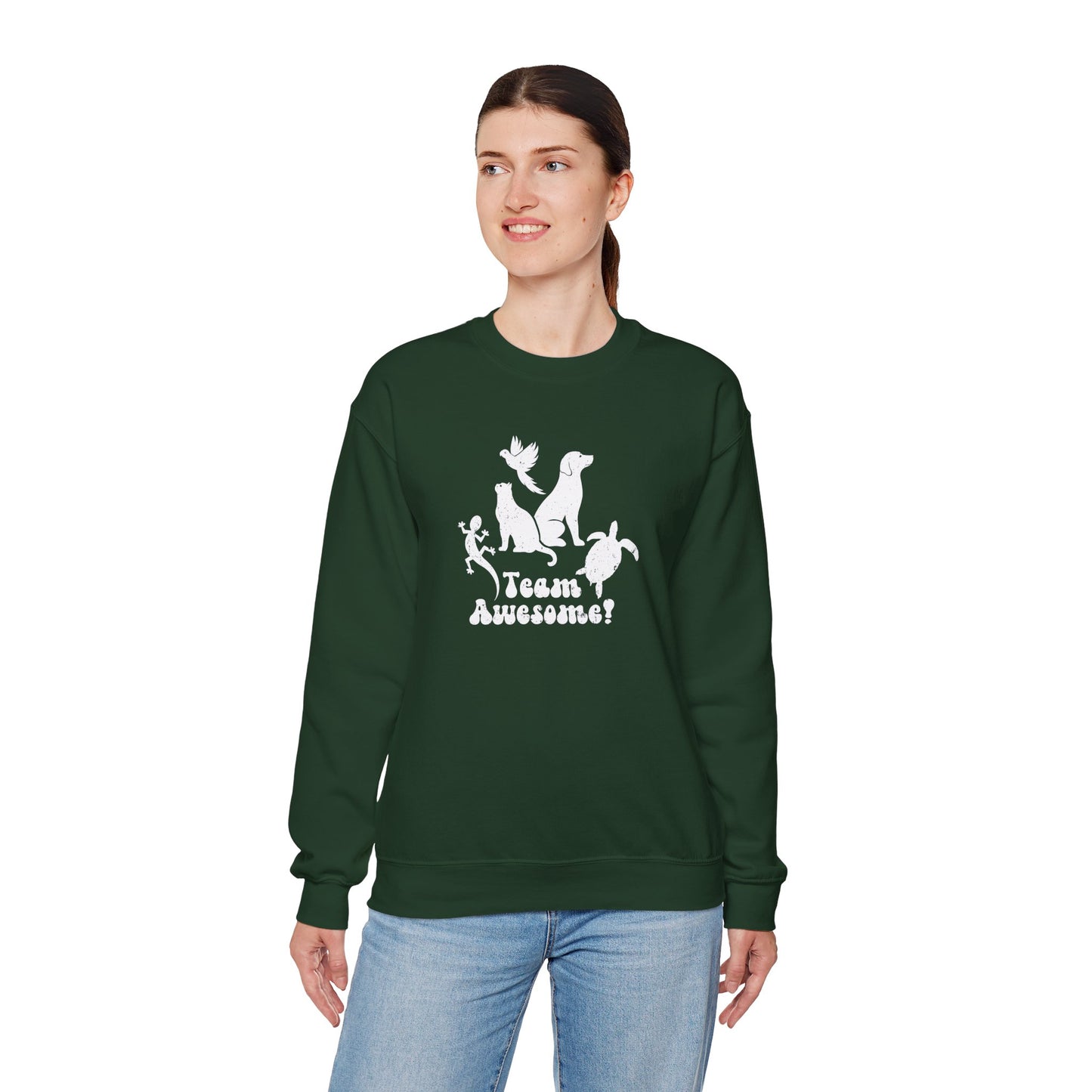 Unisex Animal Lover Lizard Cat Bird Dog Turtle Team Awesome Sweatshirt