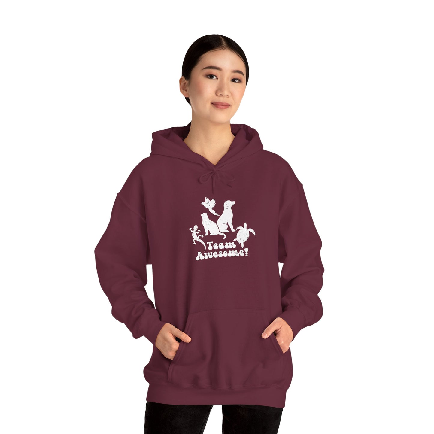 Unisex Animal Lover Lizard Cat Bird Dog Turtle Team Awesome Hooded Sweatshirt