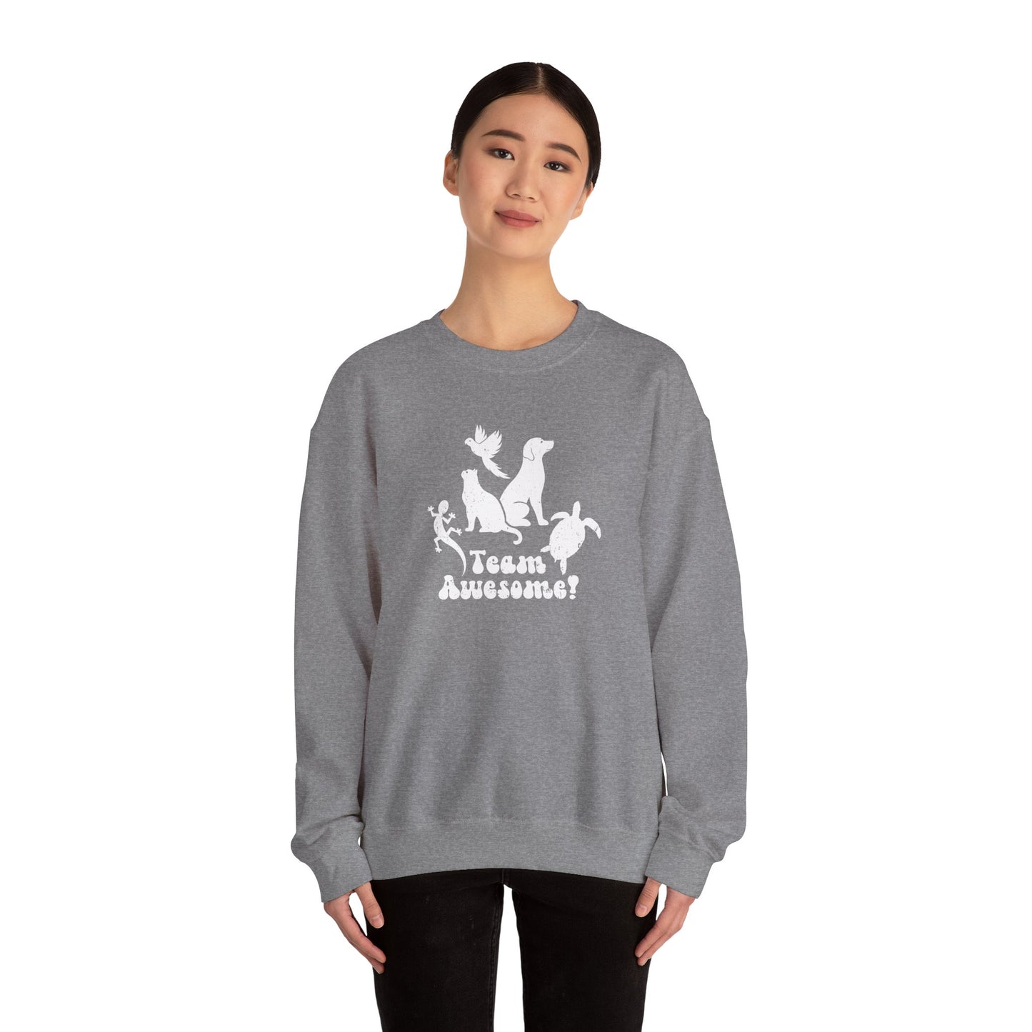 Unisex Animal Lover Lizard Cat Bird Dog Turtle Team Awesome Sweatshirt