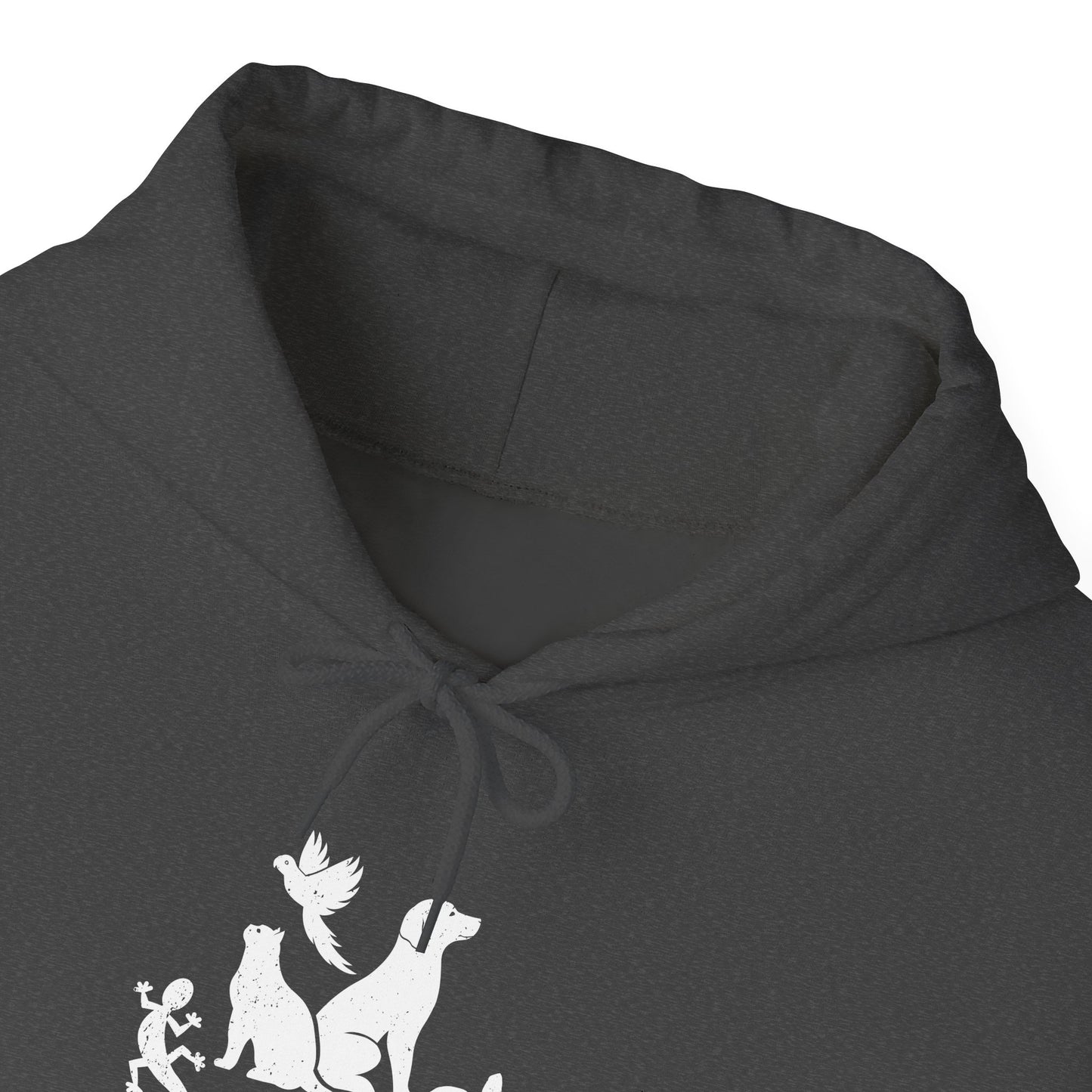 Unisex Animal Lover Lizard Cat Bird Dog Turtle Team Awesome Hooded Sweatshirt