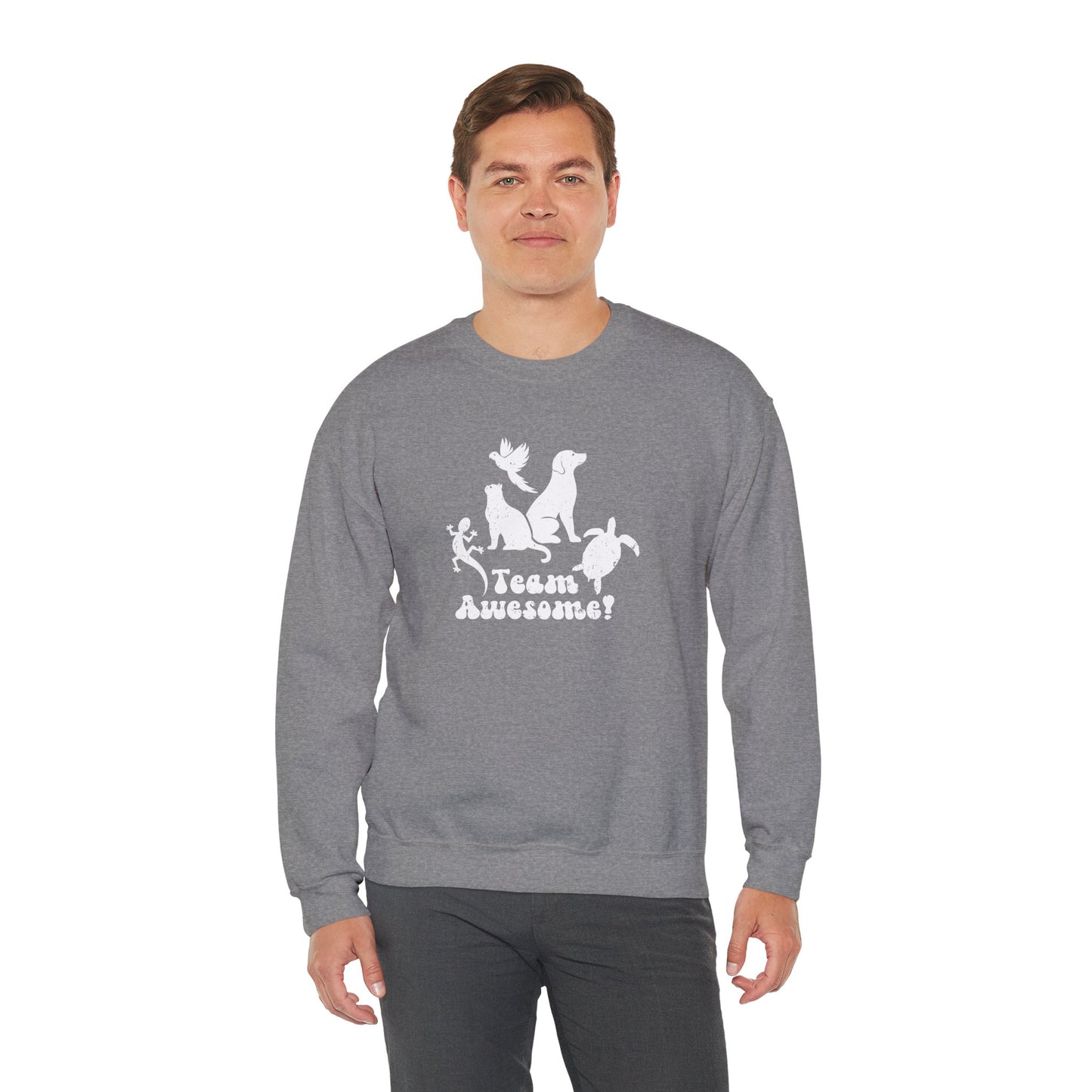 Unisex Animal Lover Lizard Cat Bird Dog Turtle Team Awesome Sweatshirt
