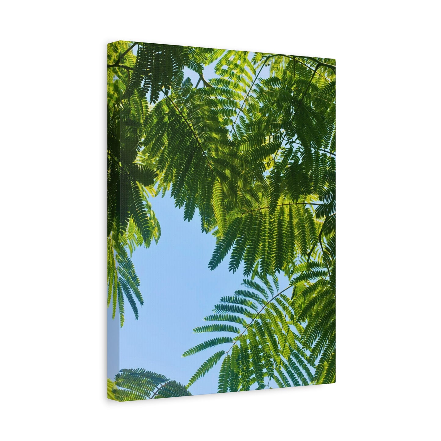 Canvas Gallery Wrap - Silk Canopy #4
