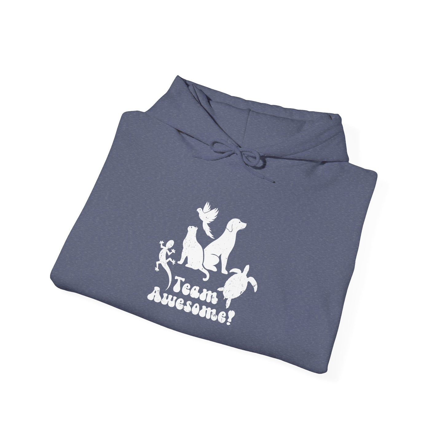 Unisex Animal Lover Lizard Cat Bird Dog Turtle Team Awesome Hooded Sweatshirt