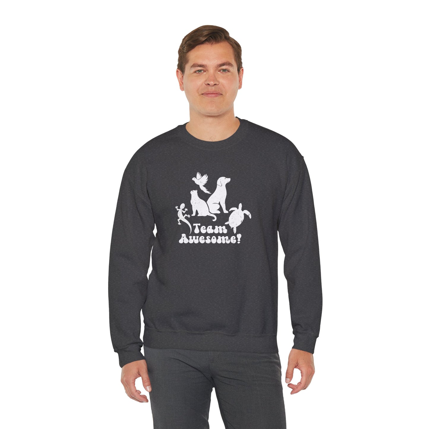 Unisex Animal Lover Lizard Cat Bird Dog Turtle Team Awesome Sweatshirt