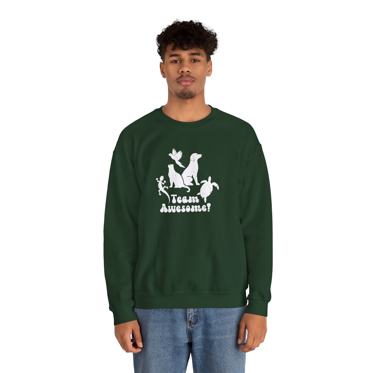 Unisex Animal Lover Lizard Cat Bird Dog Turtle Team Awesome Sweatshirt