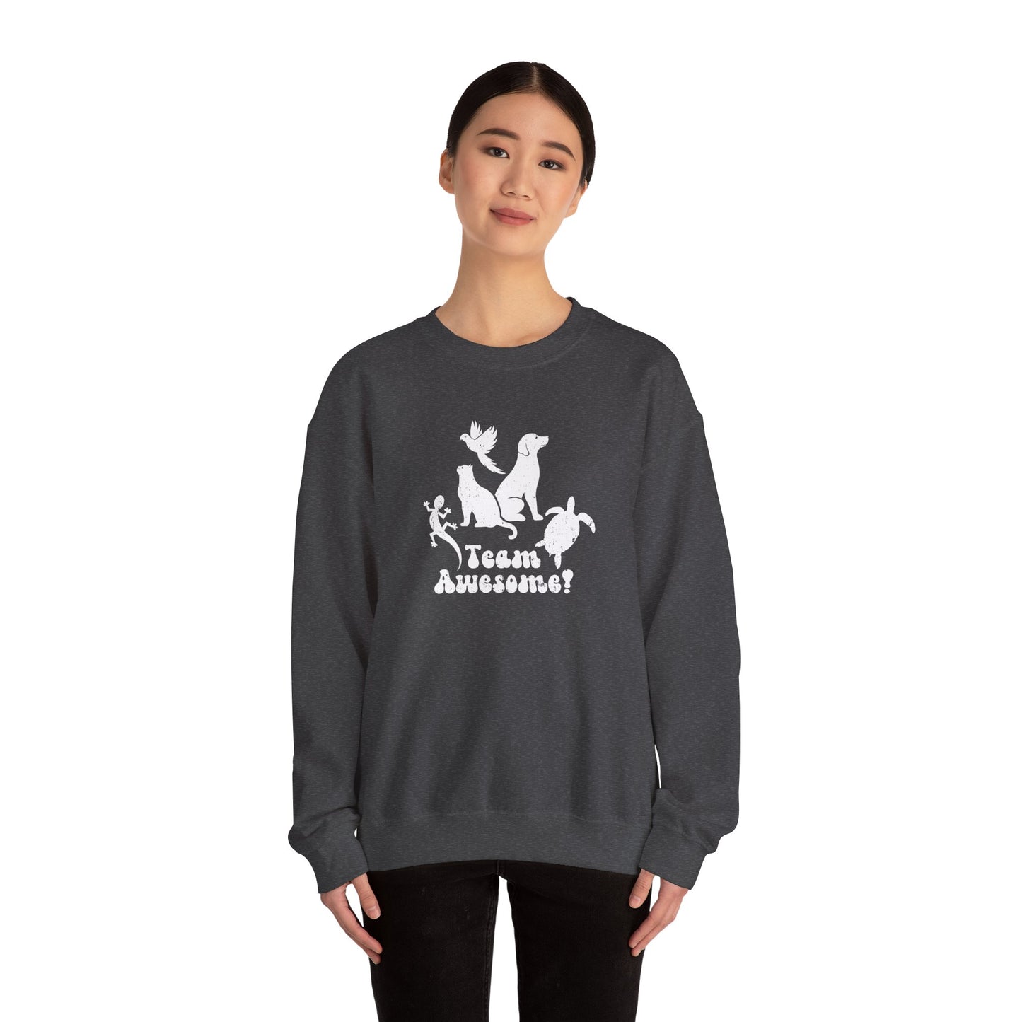 Unisex Animal Lover Lizard Cat Bird Dog Turtle Team Awesome Sweatshirt