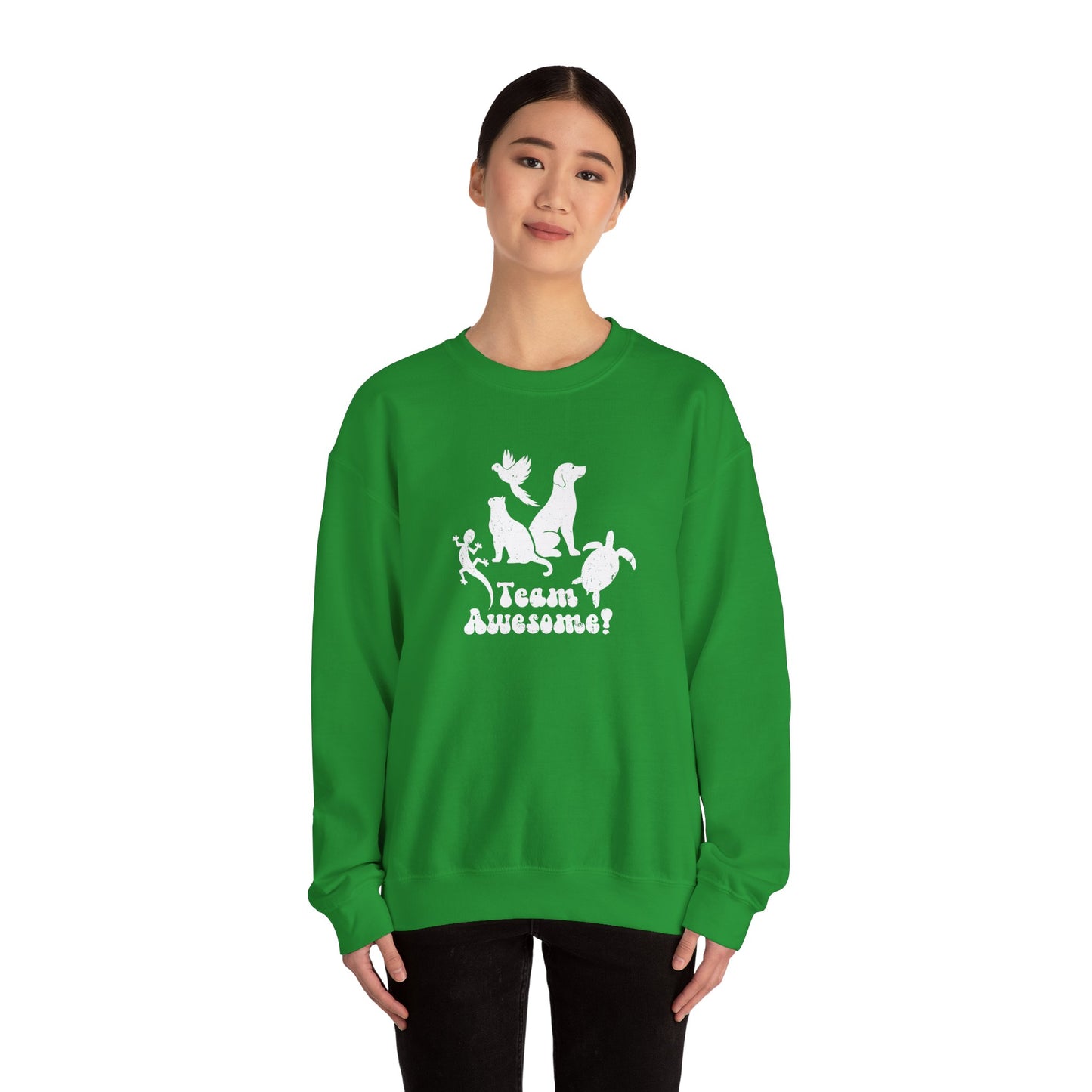 Unisex Animal Lover Lizard Cat Bird Dog Turtle Team Awesome Sweatshirt