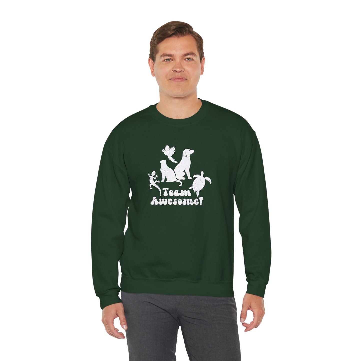 Unisex Animal Lover Lizard Cat Bird Dog Turtle Team Awesome Sweatshirt