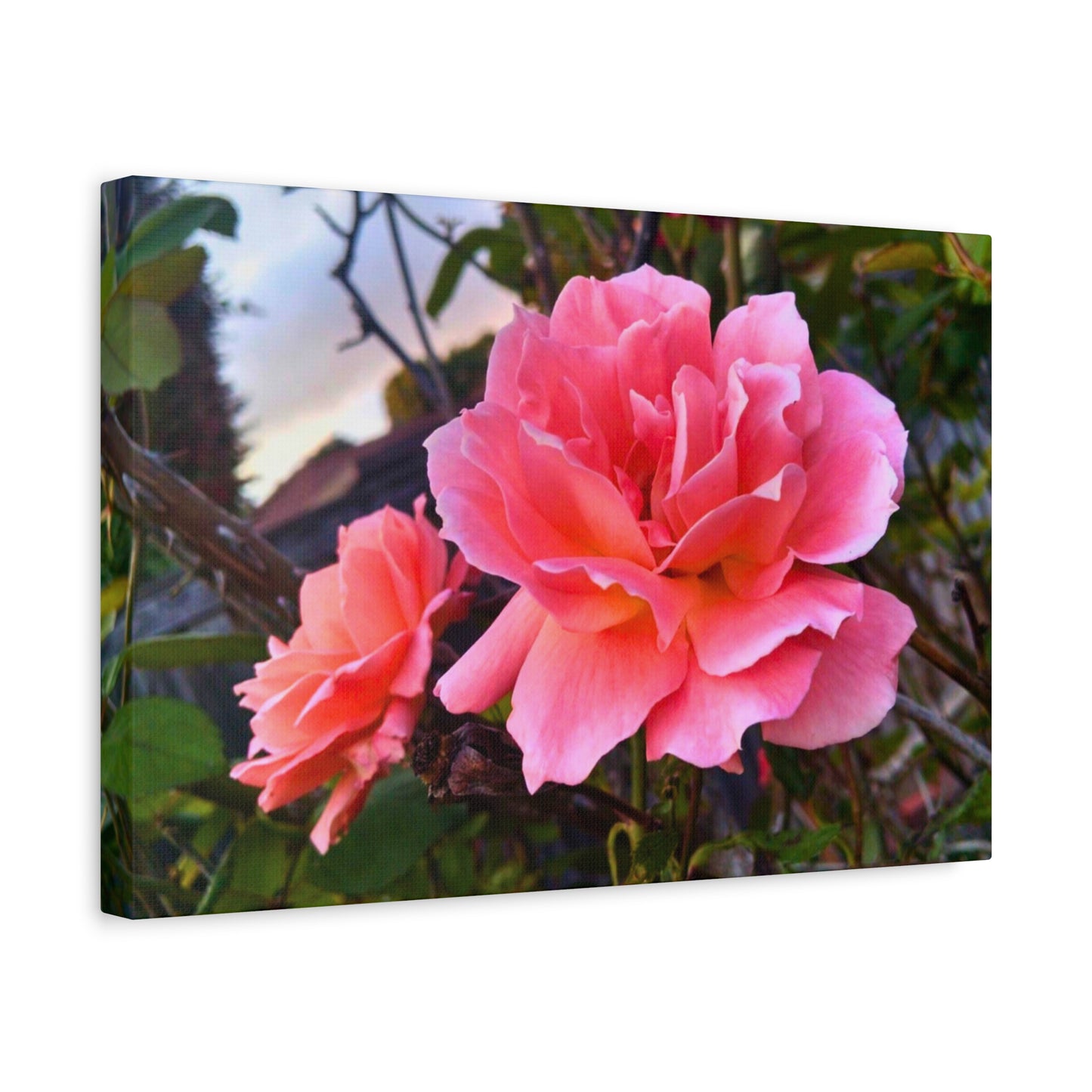 Canvas Gallery Wrap - Double Delight Roses