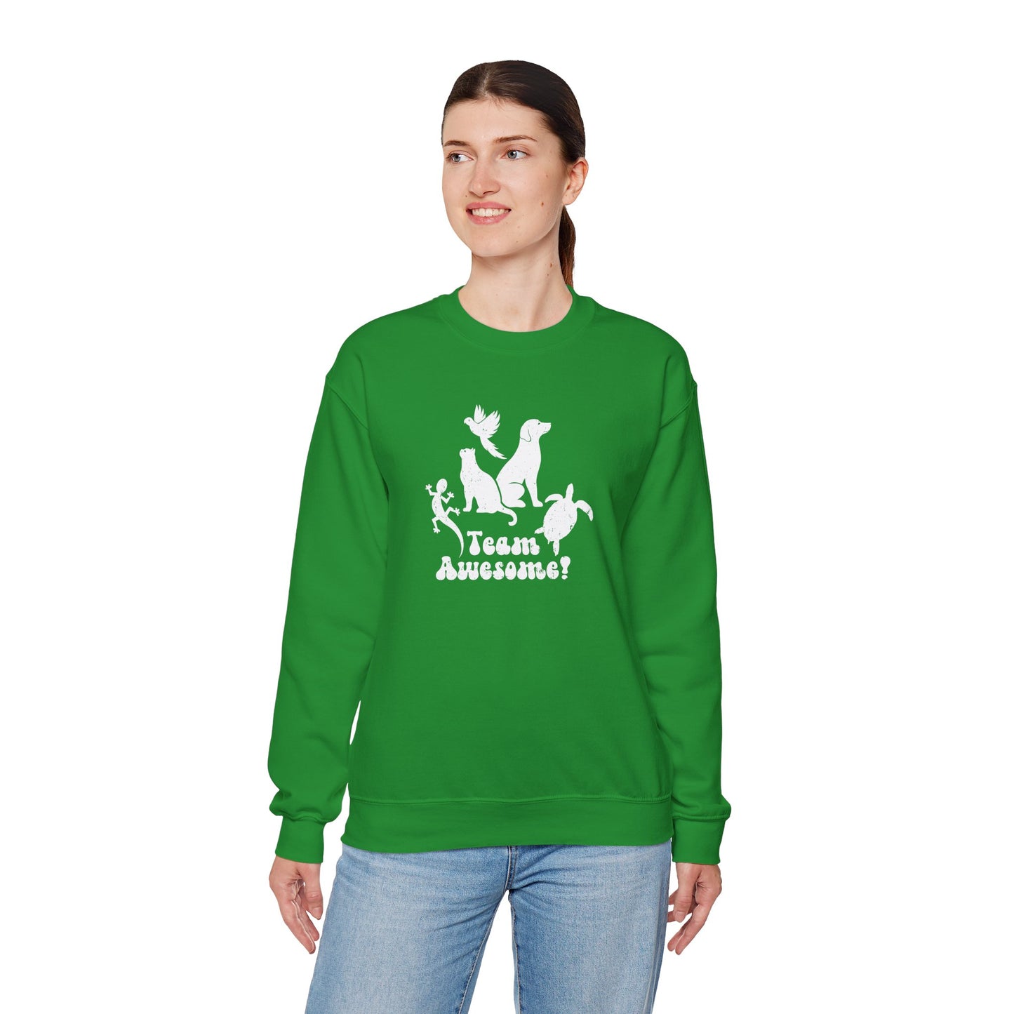 Unisex Animal Lover Lizard Cat Bird Dog Turtle Team Awesome Sweatshirt