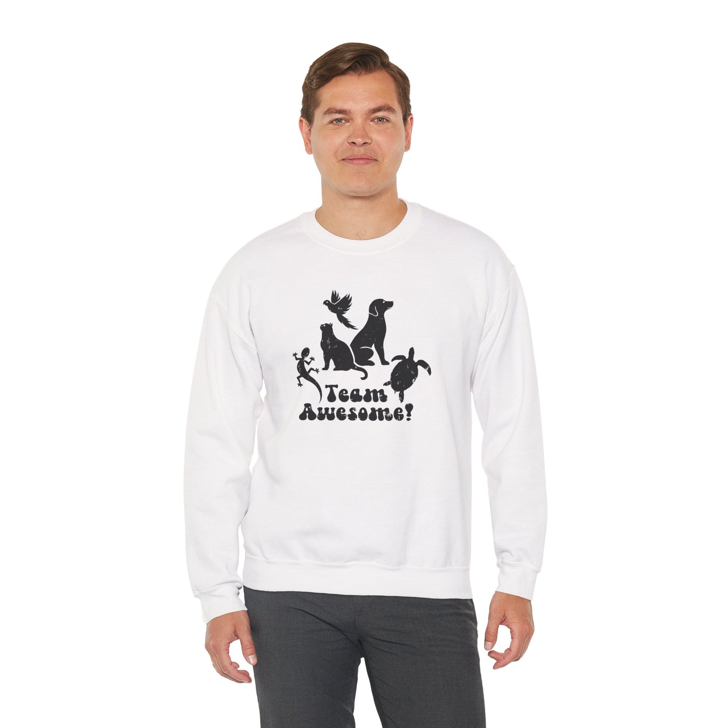 Unisex Animal Lover Lizard Cat Bird Dog Turtle Team Awesome Sweatshirt