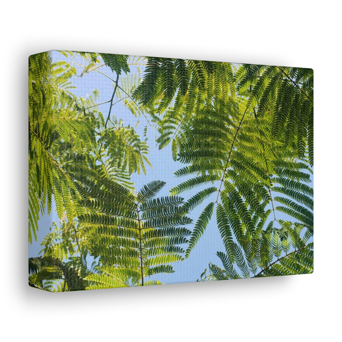 Silk Canopy #1 - Canvas Gallery Wrap